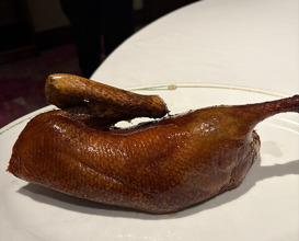 Dinner at Chinese Hanten Fureika (中国飯店 富麗華)