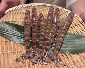 Dinner at Gahoujin Kasho