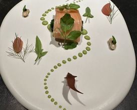 Dinner at HAJIME