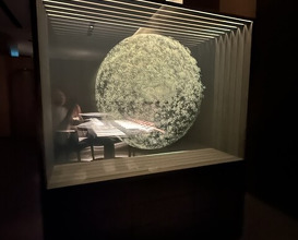Dinner at HAJIME