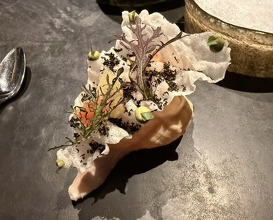 Dinner at HAJIME
