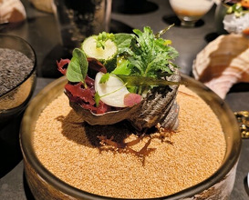 Dinner at HAJIME