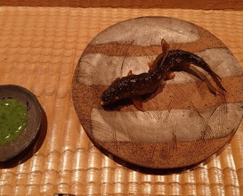 Dinner at Hakuun