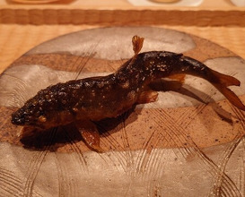 Dinner at Hakuun
