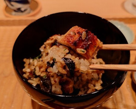 Dinner at Hakuun