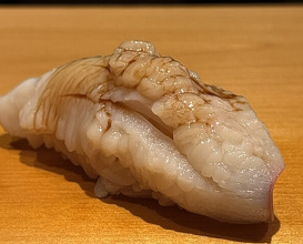 Dinner at Sushi Hashimoto