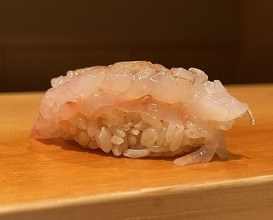 Dinner at Sushi Hashimoto