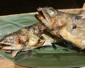 Dinner at Hassun (八寸)