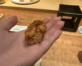 Dinner at HATSUNEZUSHI (初音鮨)