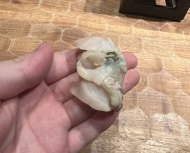 Dinner at HATSUNEZUSHI (初音鮨)