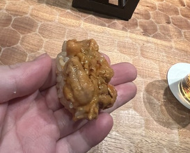 Dinner at HATSUNEZUSHI (初音鮨)