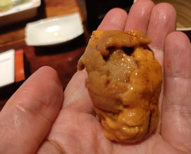 Dinner at HATSUNEZUSHI (初音鮨)