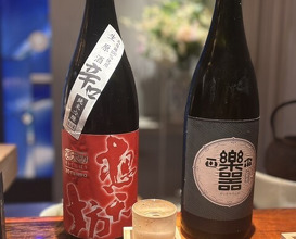 Dinner at HATSUNEZUSHI (初音鮨)