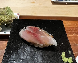 Dinner at HATSUNEZUSHI (初音鮨)