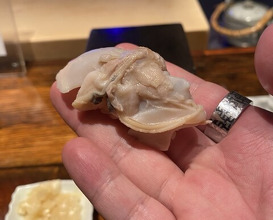 Dinner at HATSUNEZUSHI (初音鮨)