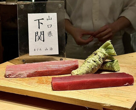 Dinner at HATSUNEZUSHI (初音鮨)