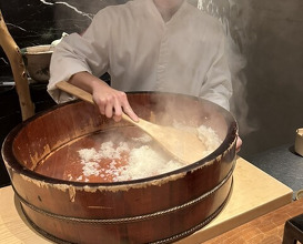 Dinner at HATSUNEZUSHI (初音鮨)