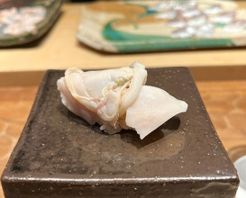 Dinner at HATSUNEZUSHI (初音鮨)