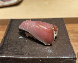 Dinner at HATSUNEZUSHI (初音鮨)