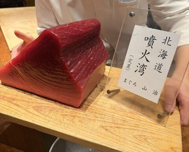 Dinner at HATSUNEZUSHI (初音鮨)