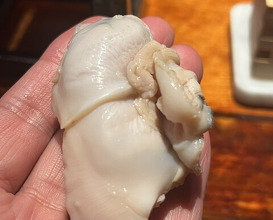 Dinner at HATSUNEZUSHI (初音鮨)
