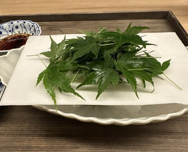 Dinner at Higashiyama Ogata