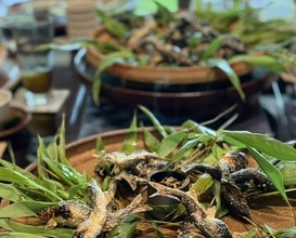 Dinner at Hirasanso