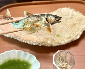 Dinner at Hirasanso