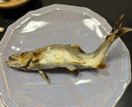 Dinner at Hiyama (樋山)