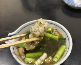 Dinner at Hiyama (樋山)