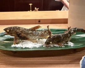 Dinner at Honkogetsu