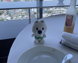 Dinner at hotel de yoshino (オテル・ド・ヨシノ)