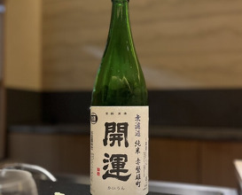 Dinner at Ichikawa (いちかわ)