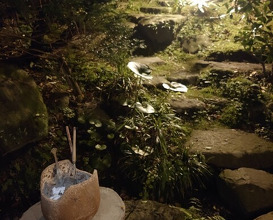 Dinner at Ichirin Hanare