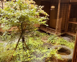 Dinner at Ichirin Hanare