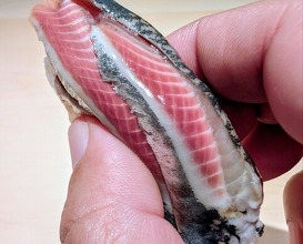 Dinner at Sushi Ikkou (鮨 一幸)