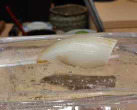 Dinner at Sushi Ino (鮨　いの)