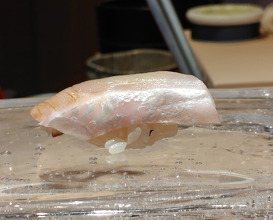 Dinner at Sushi Ino (鮨　いの)