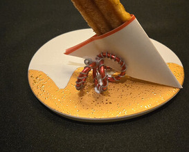 Dinner at Gastronomy Joel Robuchon (ガストロノミー ジョエル・ロブション)