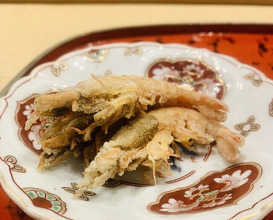 Dinner at Dogo Kaishu (道後 海舟)