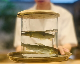 Dinner at Dogo Kaishu (道後 海舟)