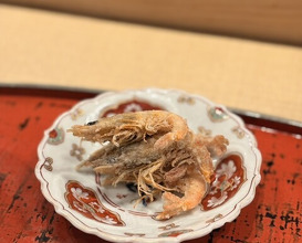 Dinner at Dogo Kaishu (道後 海舟)