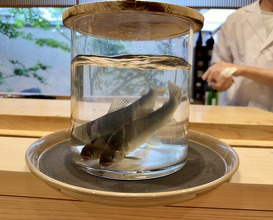 Dinner at Dogo Kaishu (道後 海舟)