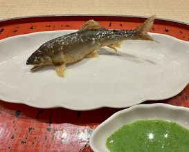 Dinner at Dogo Kaishu (道後 海舟)