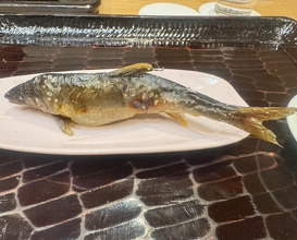 Dinner at Dogo Kaishu (道後 海舟)