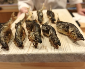 Dinner at Dogo Kaishu (道後 海舟)