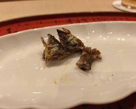 Dinner at Dogo Kaishu (道後 海舟)