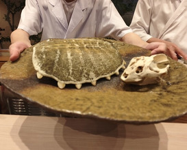 Dinner at Dogo Kaishu (道後 海舟)