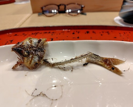 Dinner at Dogo Kaishu (道後 海舟)
