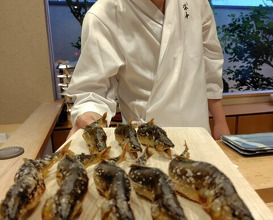 Dinner at Dogo Kaishu (道後 海舟)